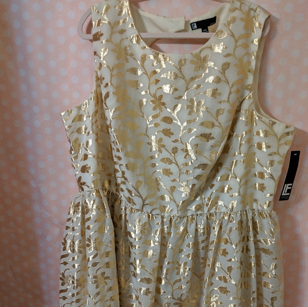 Cream and Gold Metallic Dress